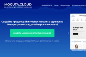 Подробнее о статье Создание бесплатного сайта на платформе Moguta.Cloud своими силами